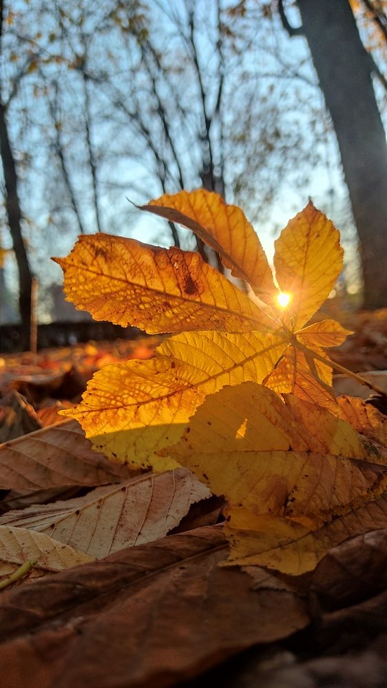 Фотография автора Ledok_21