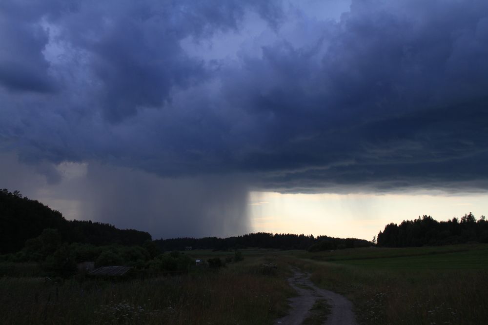 Фотография автора Анастасия Зверева