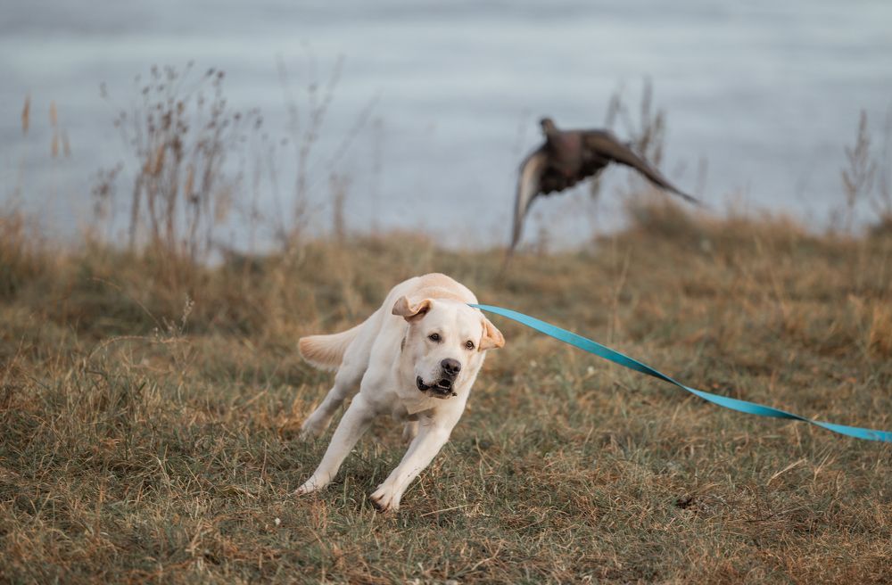 Photograph by Светлана Степашина