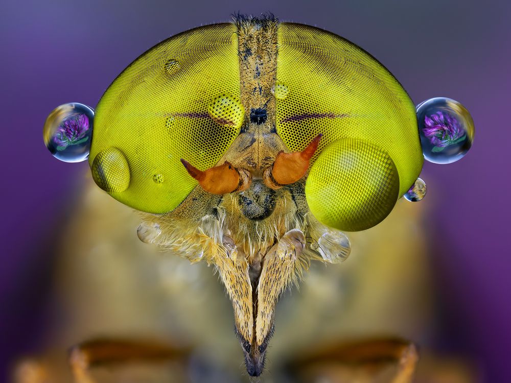 Photograph by Ireneusz Irass Walędzik