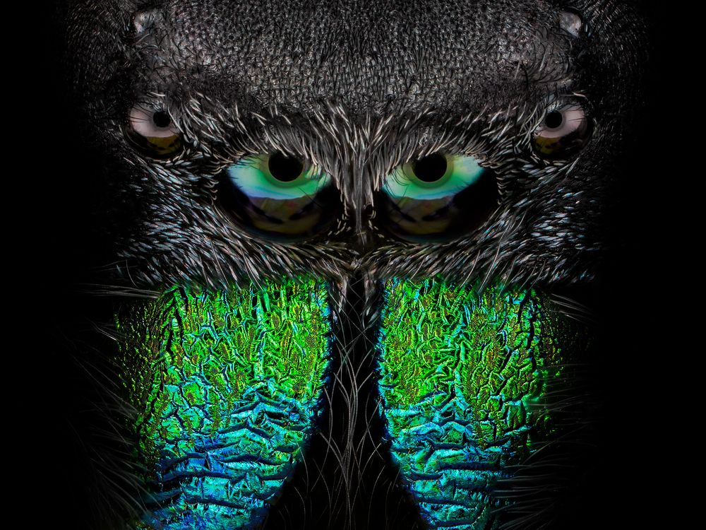 Photograph by Ireneusz Irass Walędzik