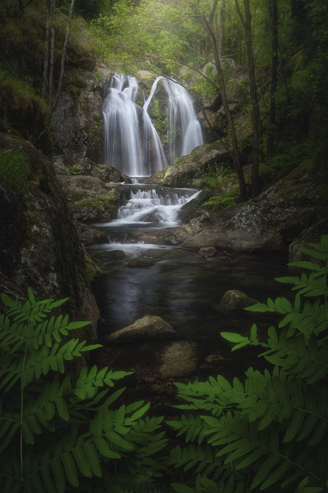 Фотография автора Enjuto Garcia Javier