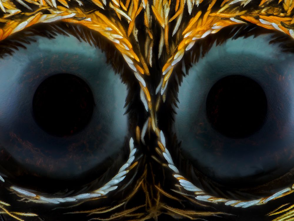 Photograph by Ireneusz Irass Walędzik