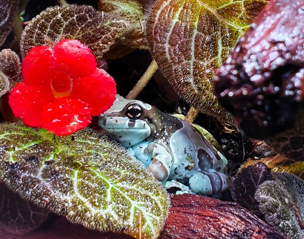 Photograph by Яна Галимуллина