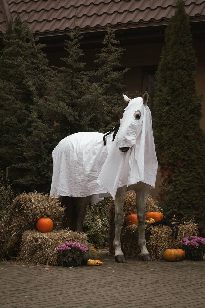 Photograph by Jasińska Olga