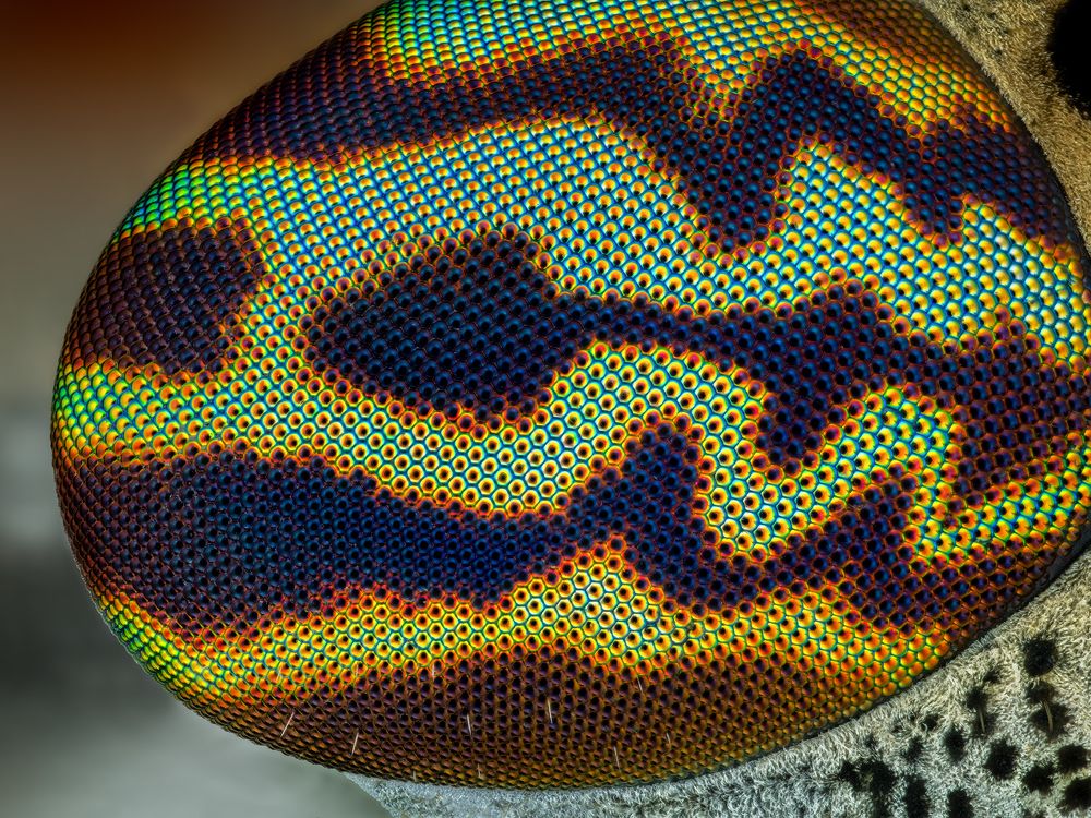 Photograph by Ireneusz Irass Walędzik