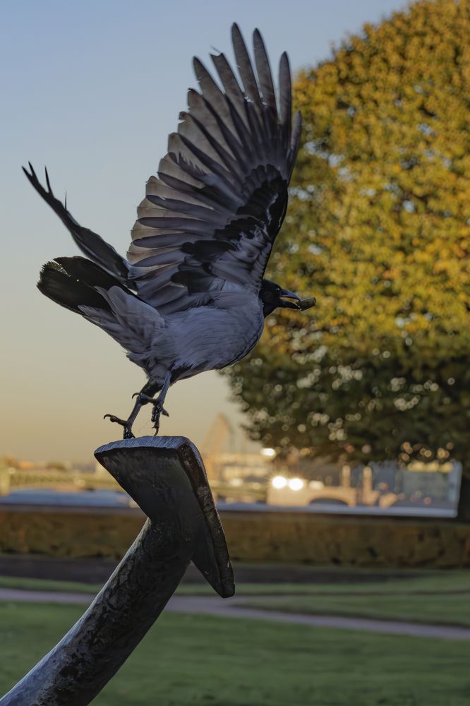 Photograph by Александр Селезнев