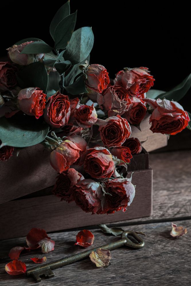 Photograph by Дарья