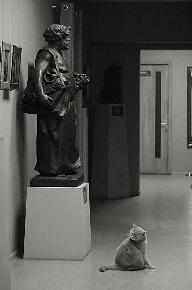 Photograph by Светлана Логинова