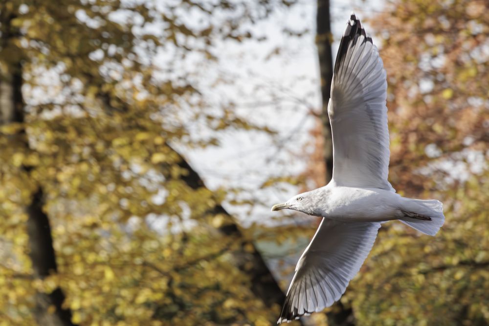 Photograph by Александр Селезнев