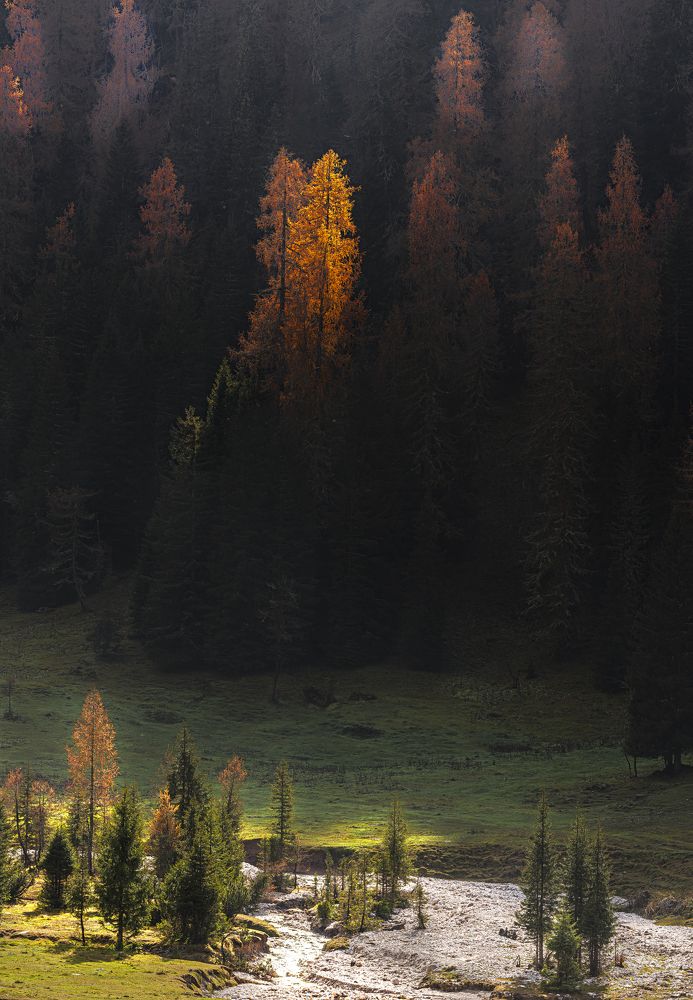 Фотография автора Paolo Barbarini