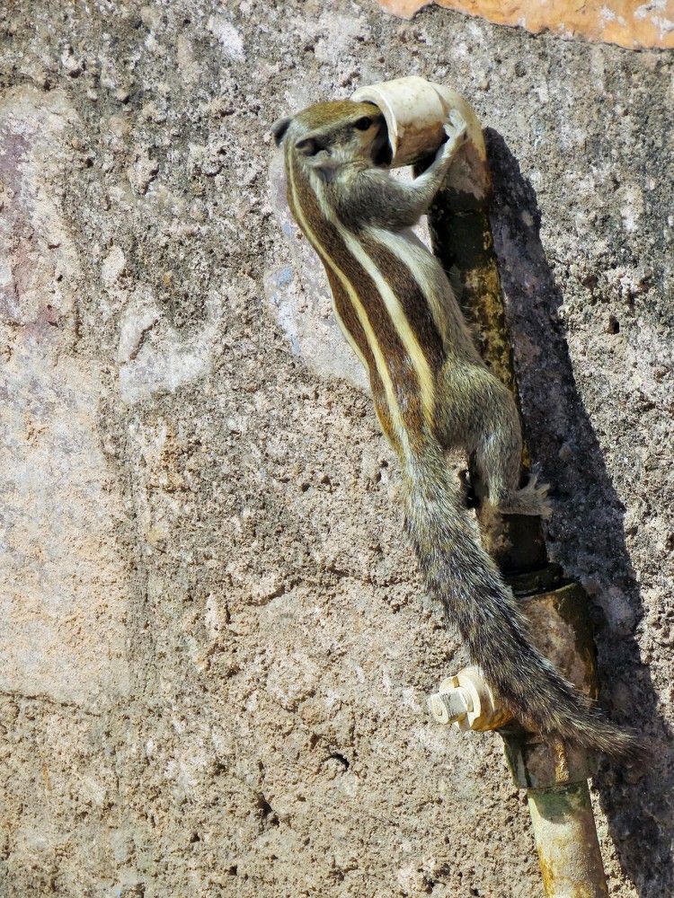 Photograph by Светлана Башаева