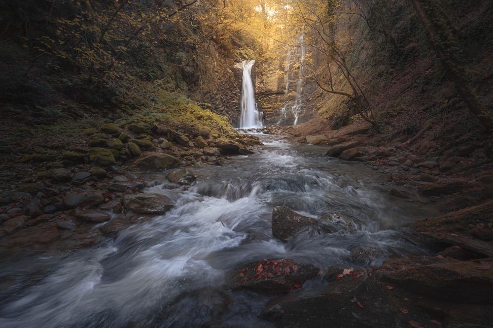 Фотография автора Andrea Bartoli