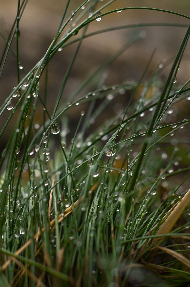 Photograph by Татьяна Псенкова