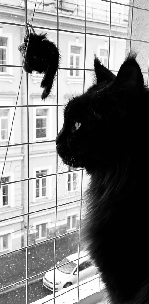 Photograph by Наталья Казачок