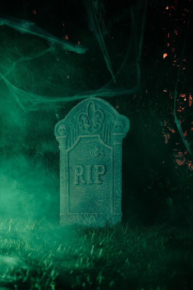 Photograph by Anna Cherkasova