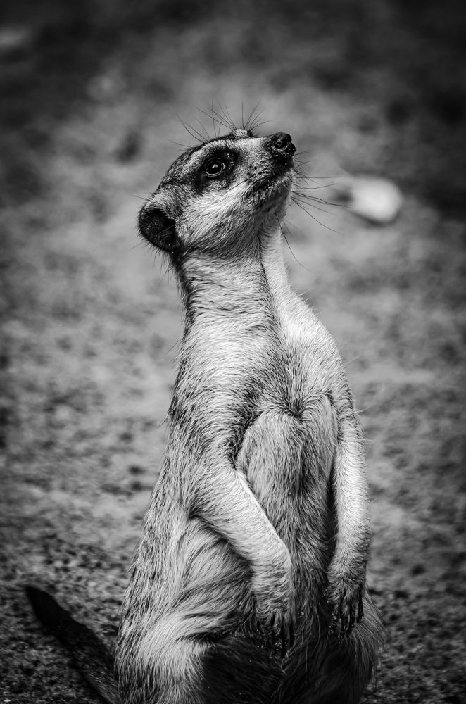 Photograph by Елена Берсенёва