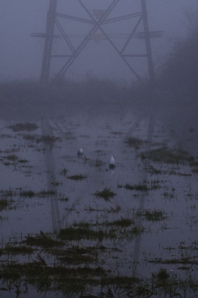 Photograph by Madalin Vlad