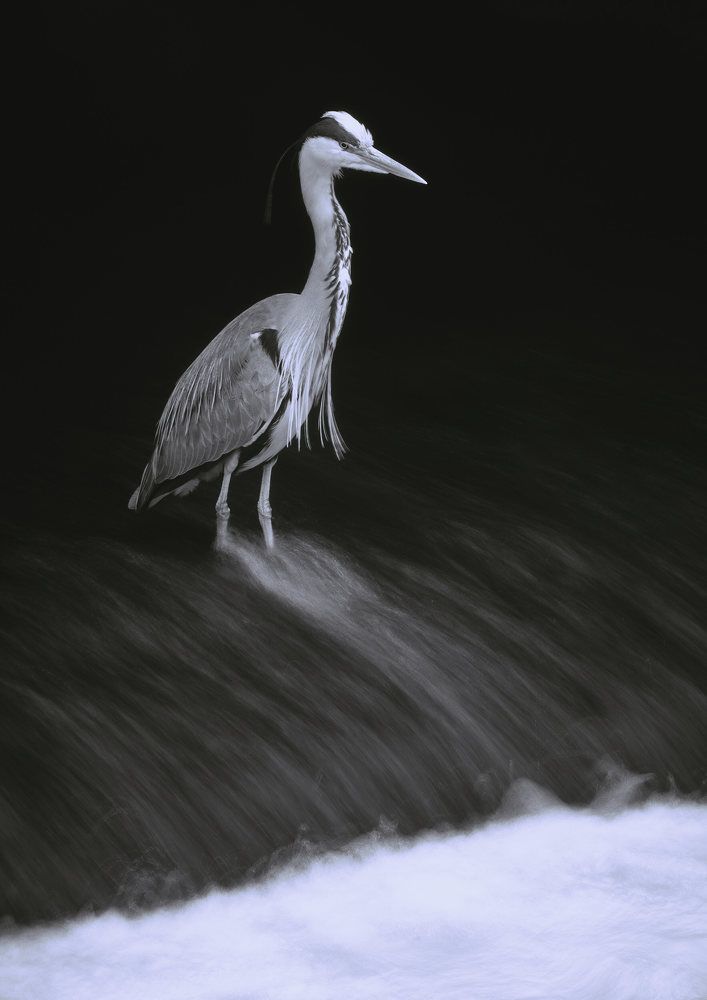 Photograph by Madalin Vlad