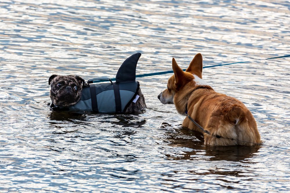 Photograph by Демьян Булавинец