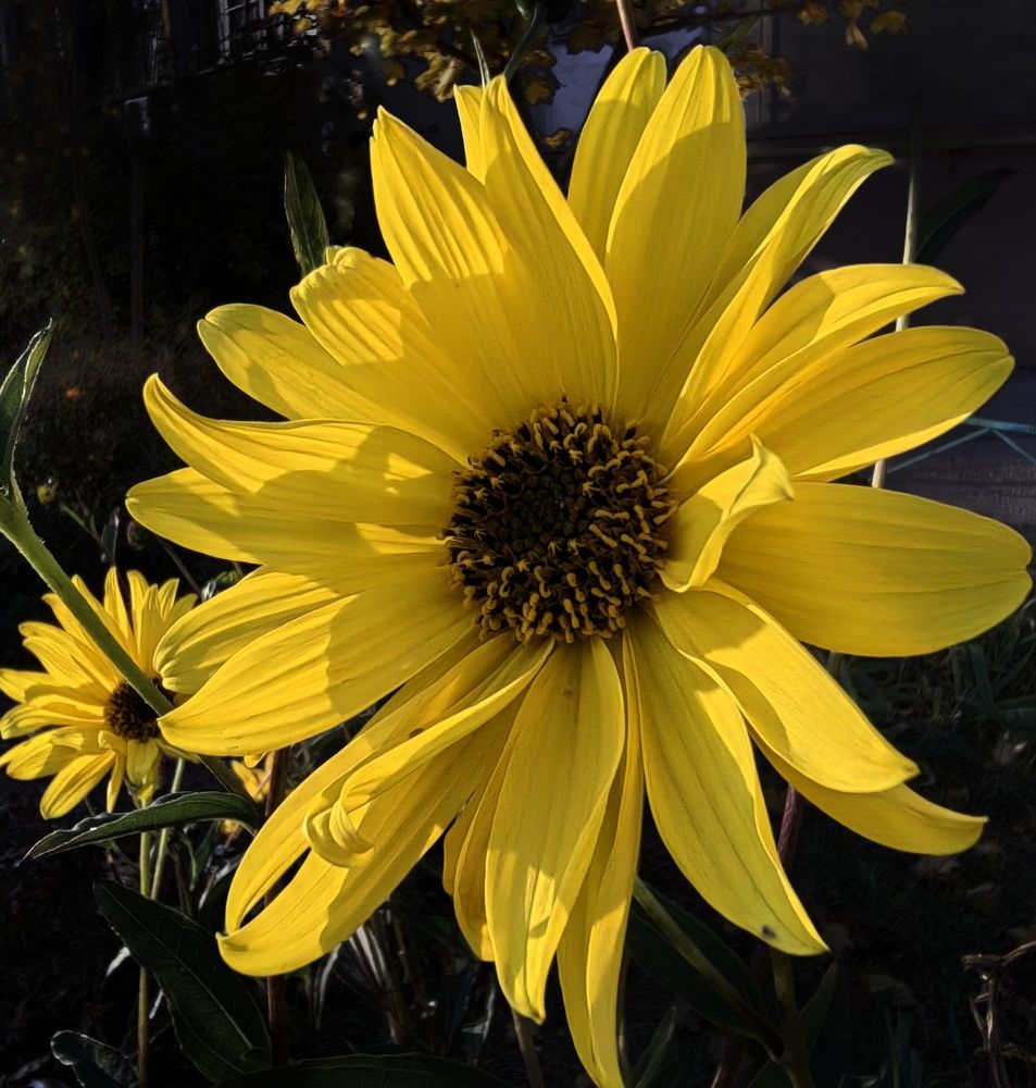 Photograph by Анна Матецкая