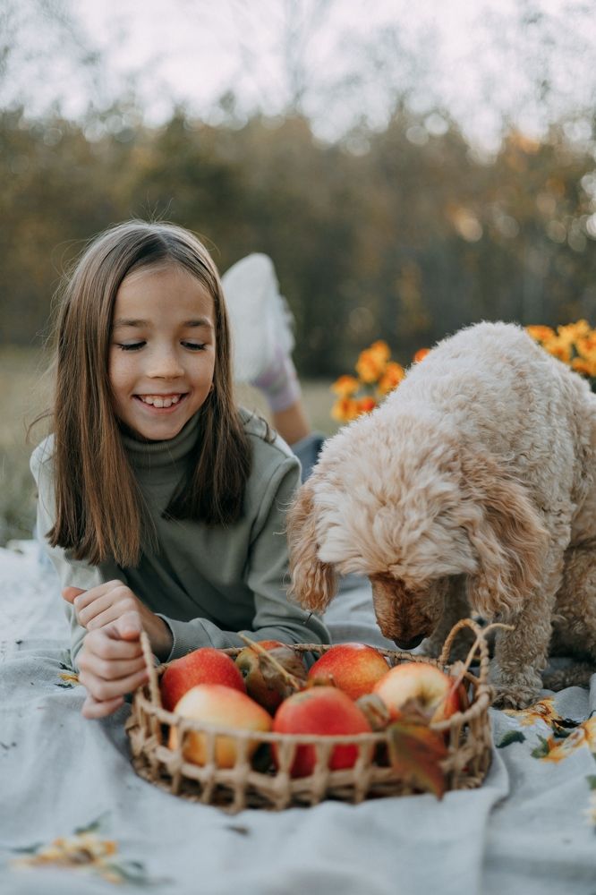 Фотография автора Ксения Афанасьева