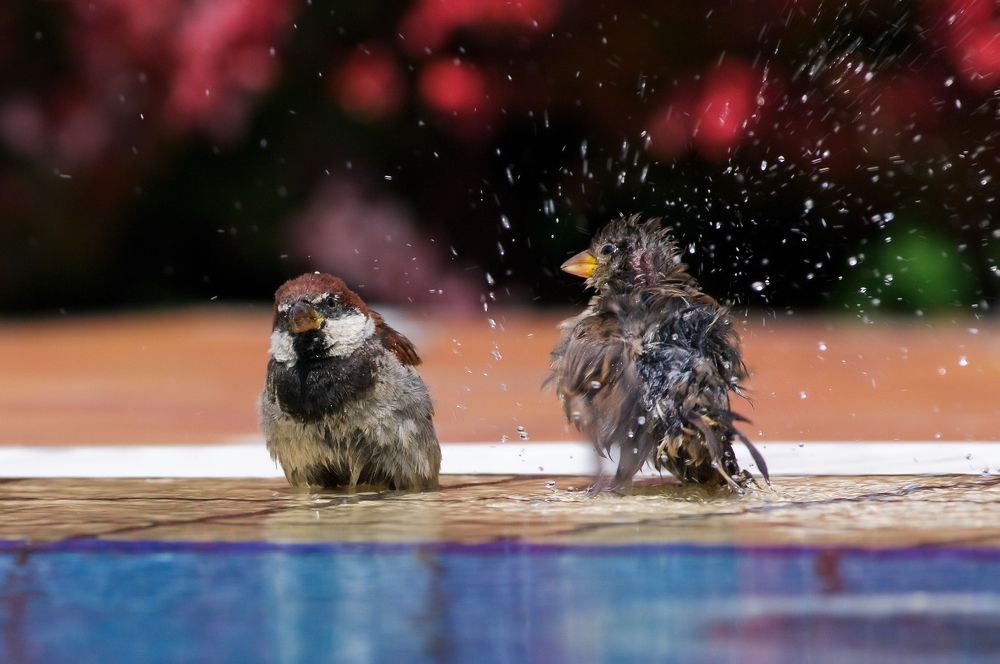 Водными займитесь проце-ду-ра-ми!