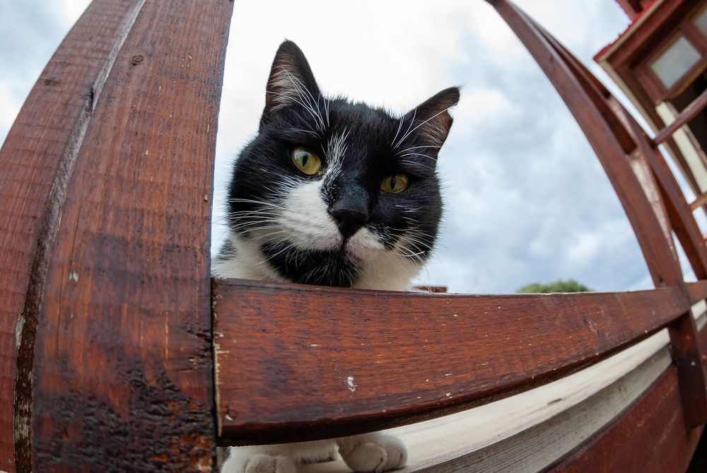 А чего это вы тут делаете?