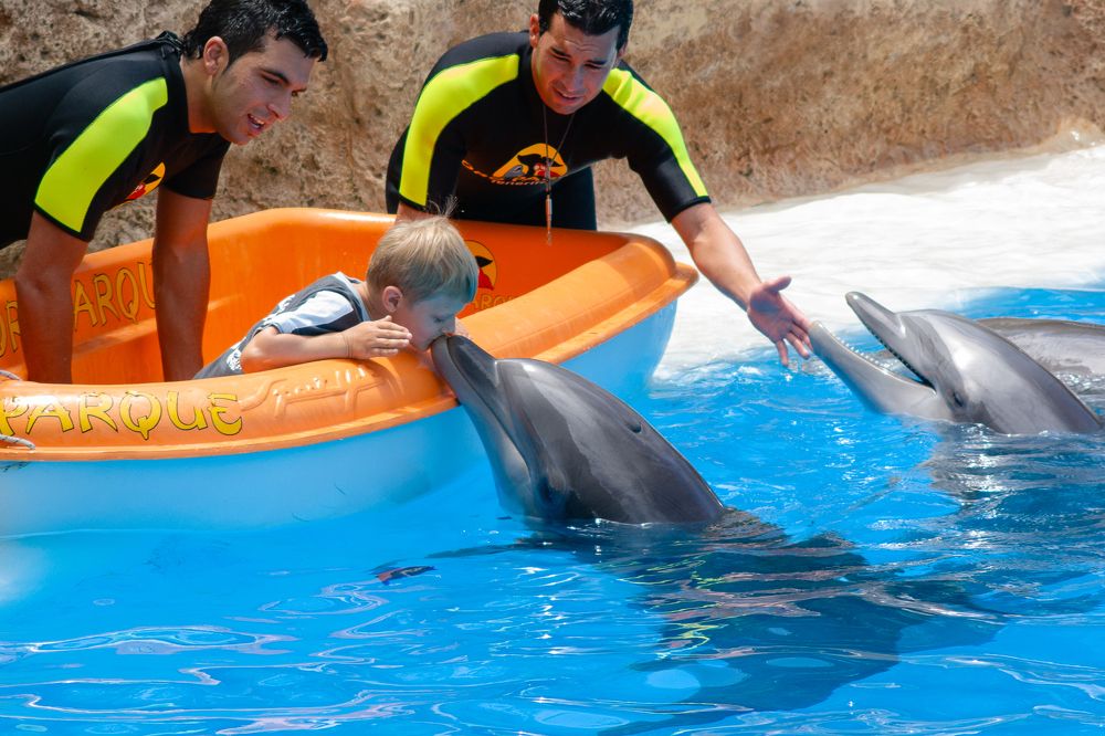 Поцелуй дельфина