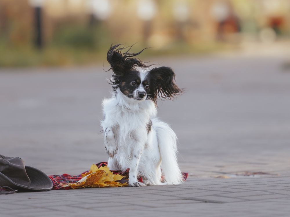 Photograph by Мария Клещенко