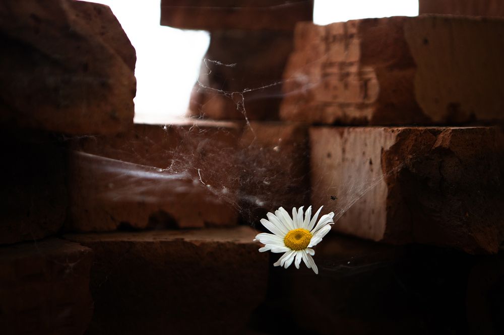 Photograph by Наталья Житинева