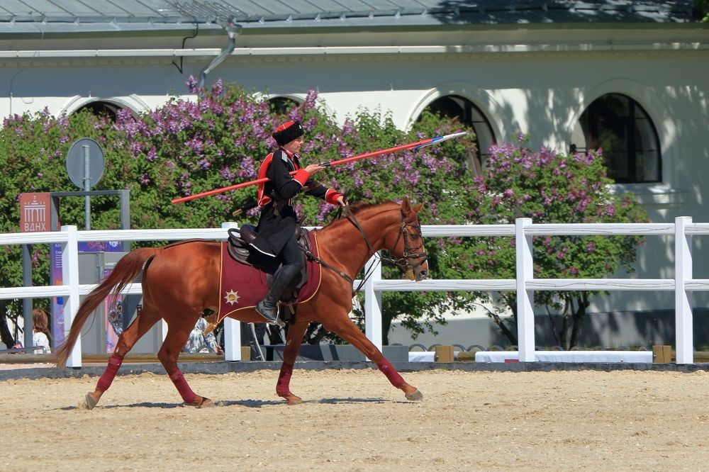 Фотография автора Светлана