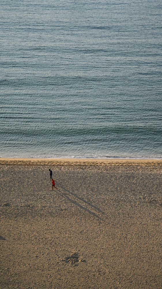 Фотография автора Xue Yu