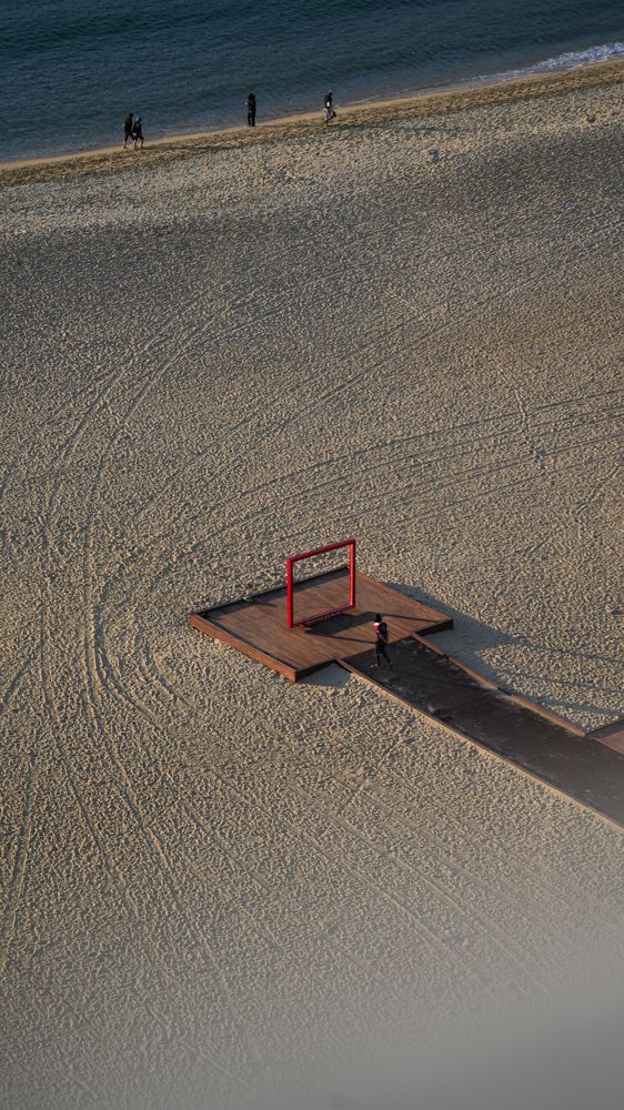 Фотография автора Xue Yu