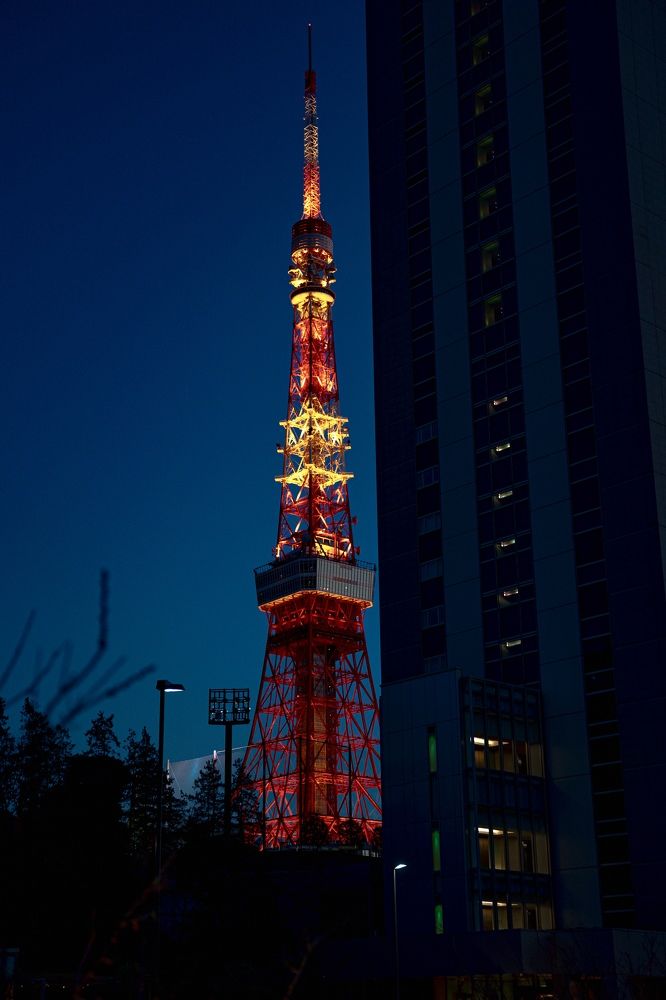 Photograph by Alex Brites