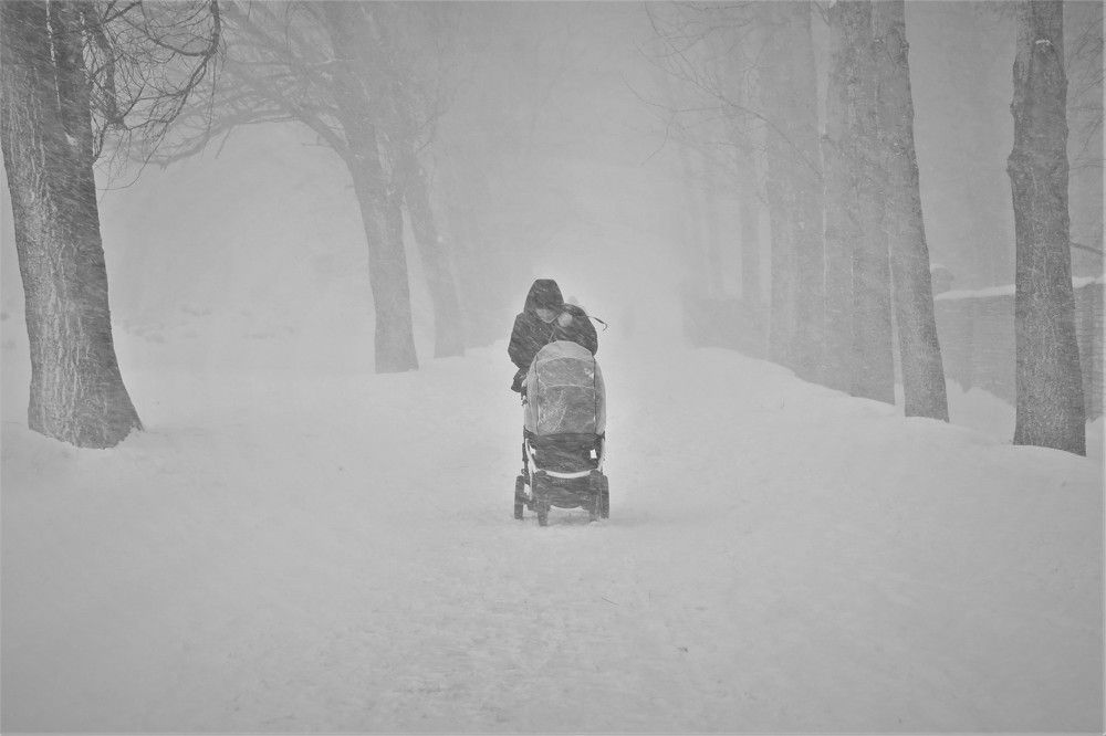 Photograph by IRINA FILIPPOVA