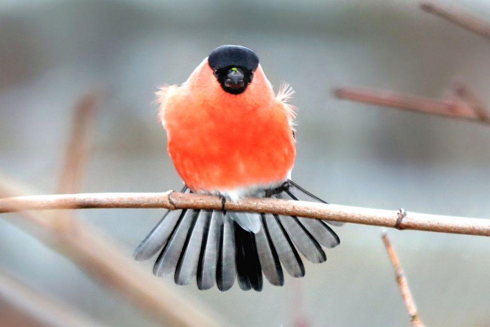 Photograph by Татьяна Бравая