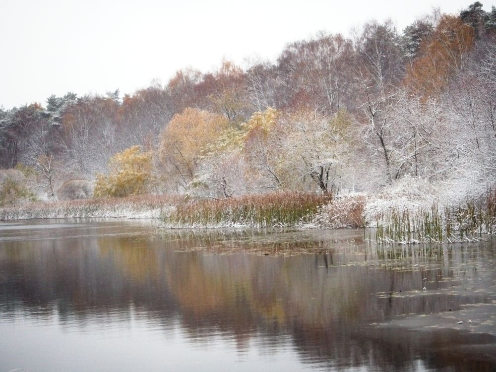 Photograph by Илюшечкина Екатерина