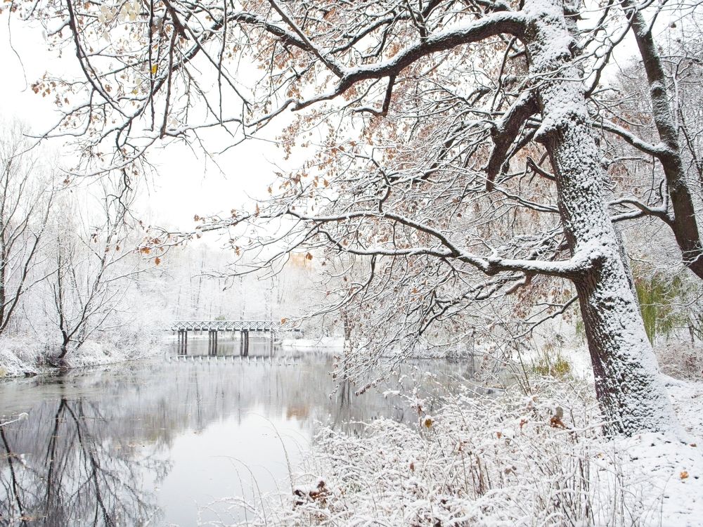 Photograph by Илюшечкина Екатерина