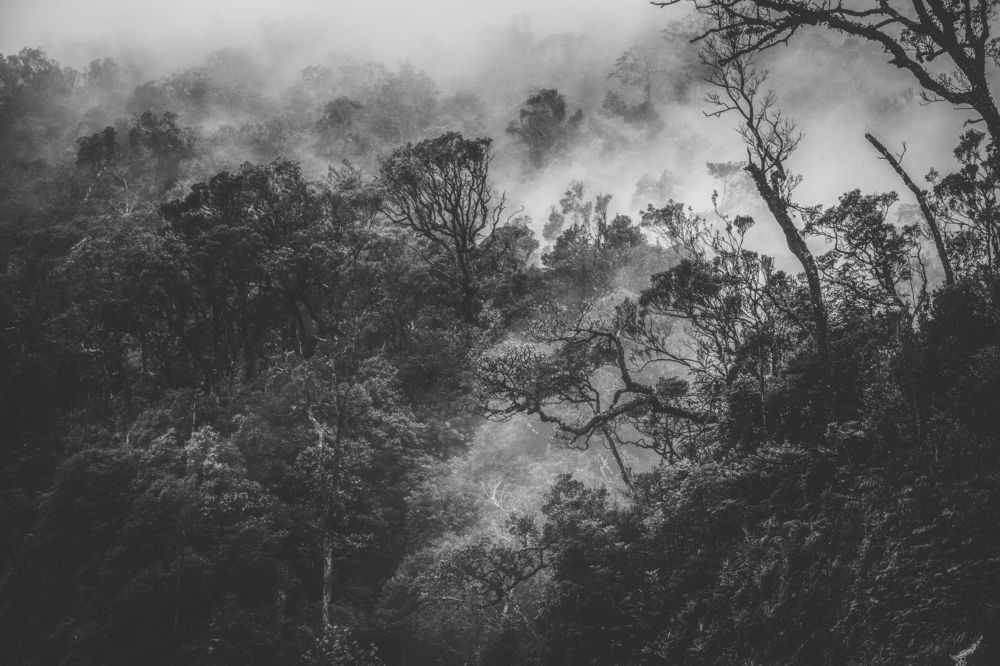 Photograph by Nhan Nguyen