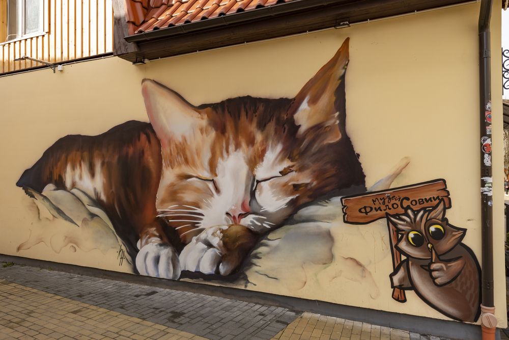 Photograph by Алексей Новиков