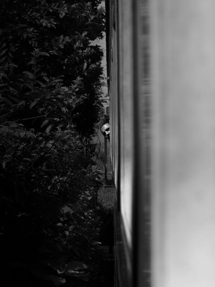 Photograph by Bryan Espinosa Álvarez