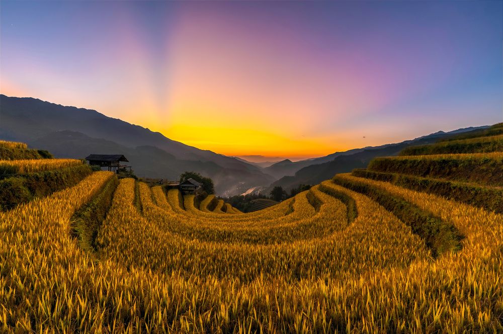 Photograph by THUY VU THANH