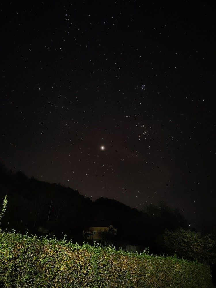 Photograph by Željka Miljić