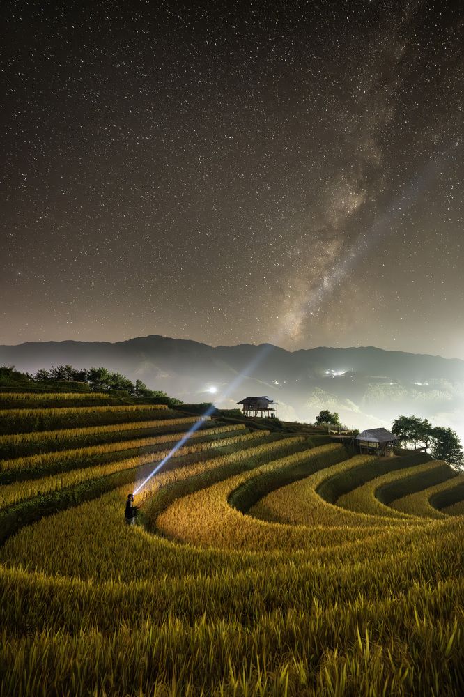 Photograph by THUY VU THANH