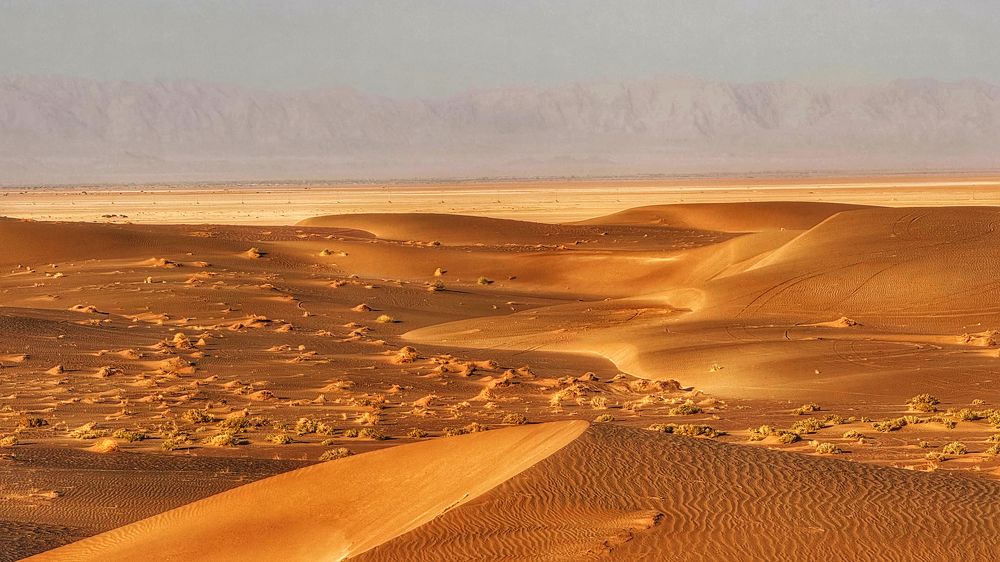 Photograph by Oksana Shchegolkova