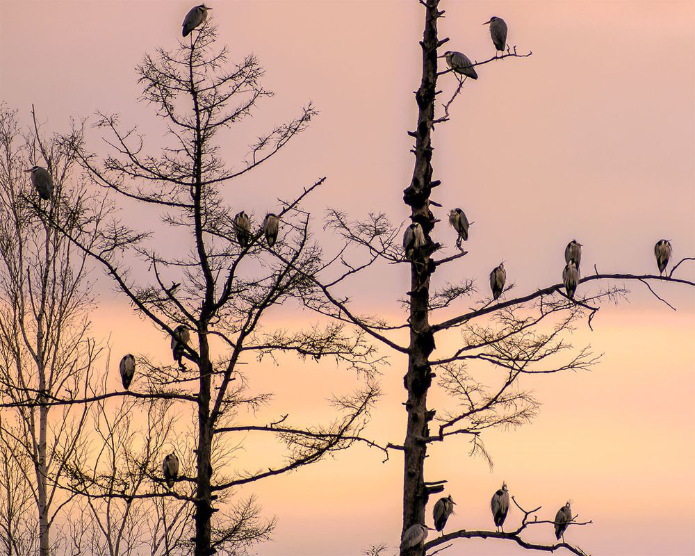 Наблюдательный пункт