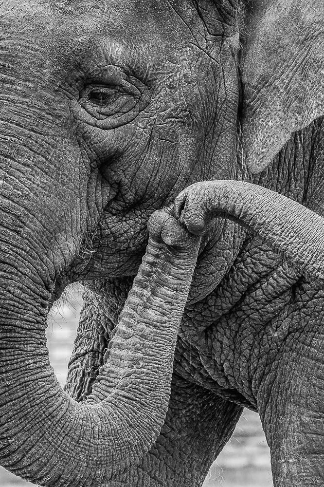 Photograph by Дмитрий Казачек