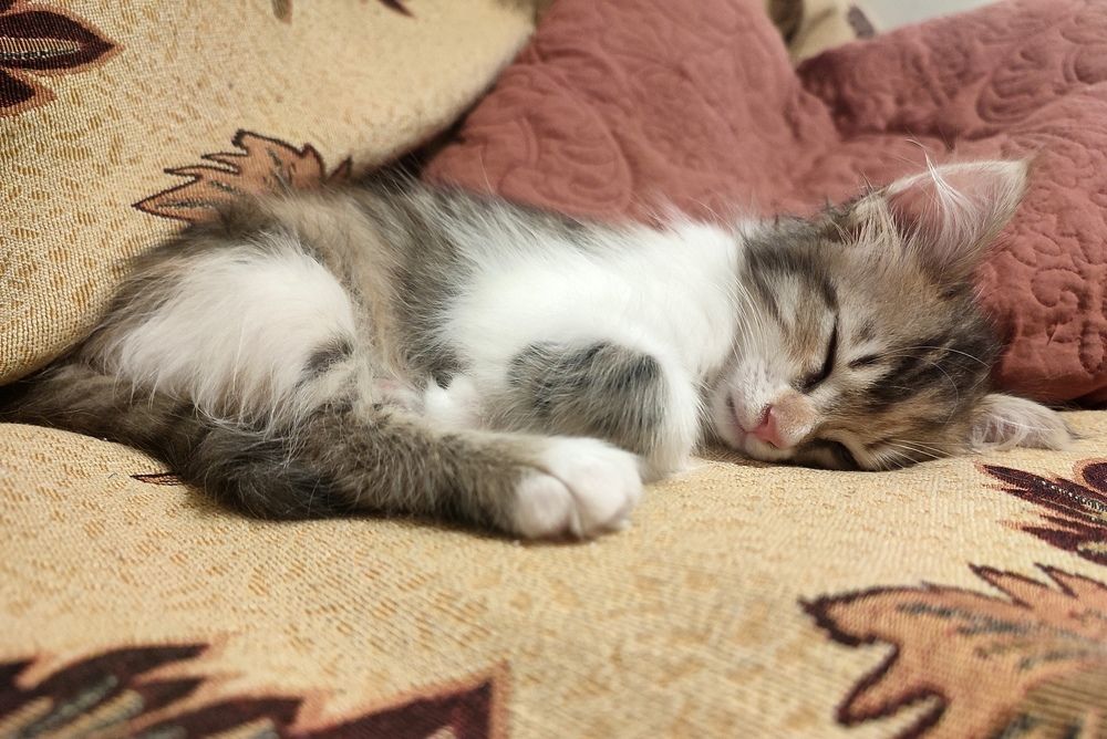 Photograph by Сергей Христинич