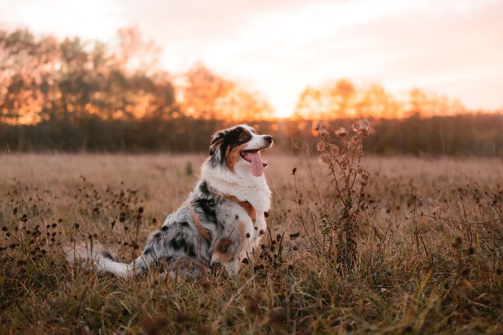 Photograph by Илья Кузнецов